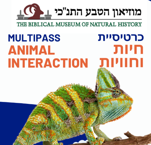 תמונת מנוי: כרטיסיית חיות וחוויות 09/09/2026-09/09/2027